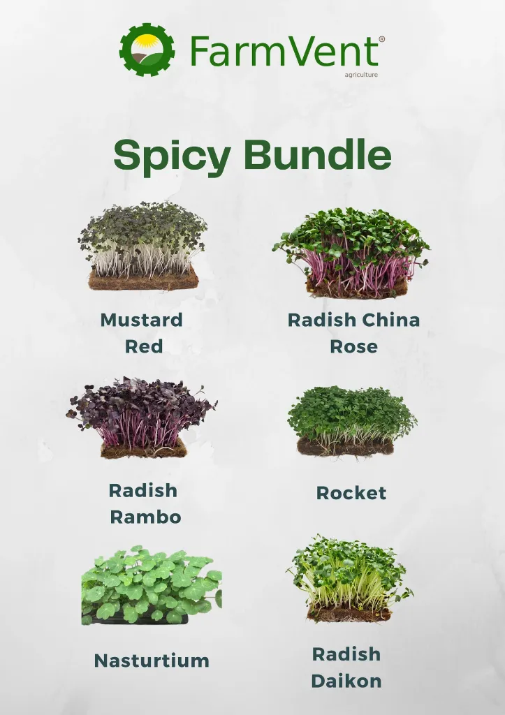 Spicy Bundle