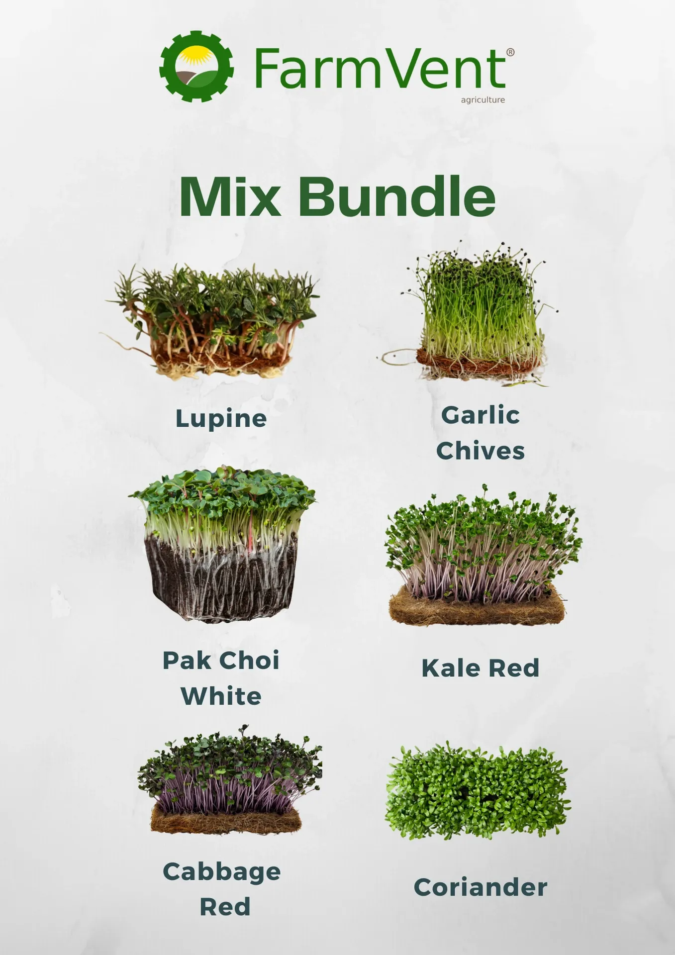 Mix Bundle
